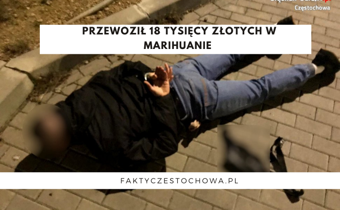18 TYSIĘCY ZŁOTYCH W MARIHUANIE 18 TYSIĘCY ZŁOTYCH W MARIHUANIE