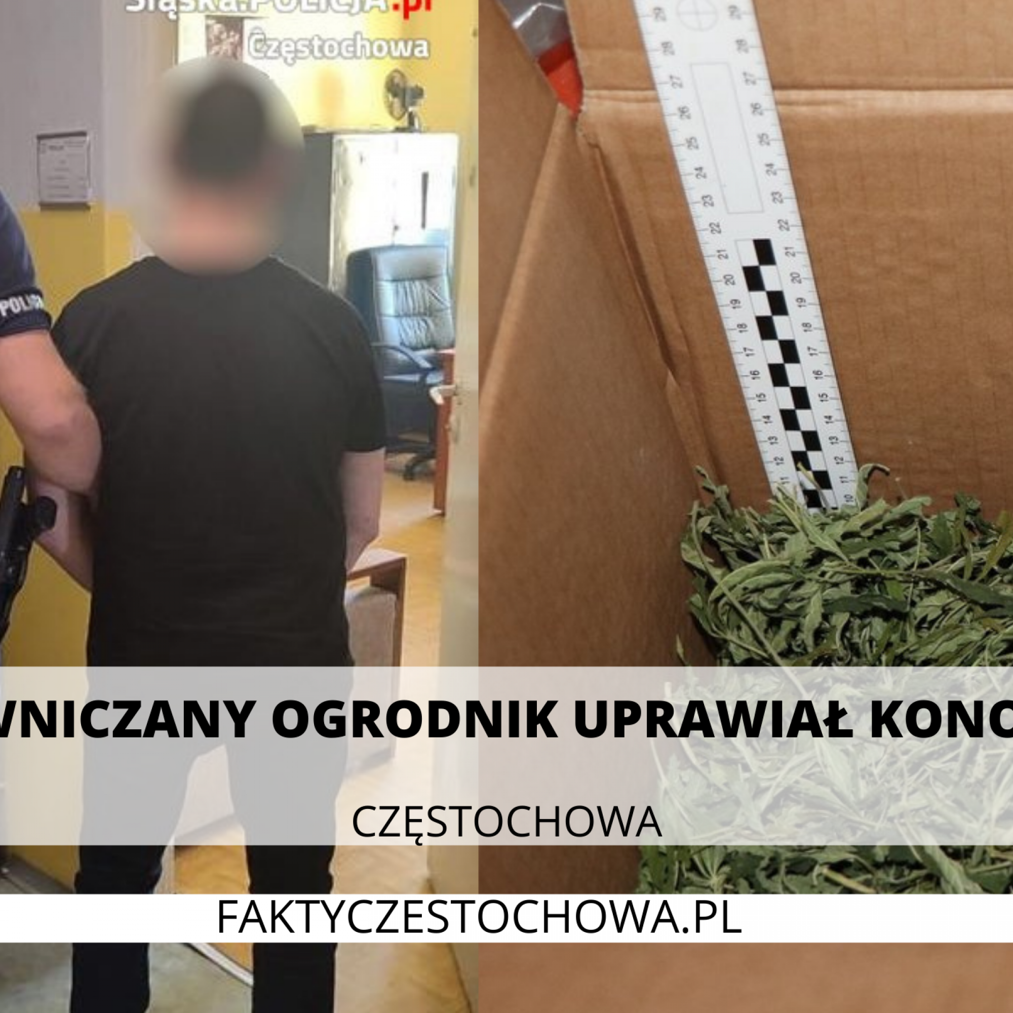 POLICJA POSZUKUJE 39-LETNIEJ EWY IWANIUK (79)